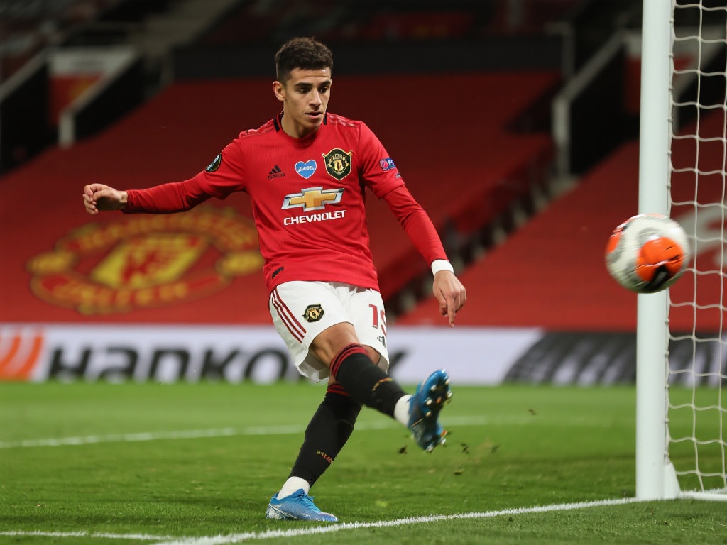 而归化球员 而归化球员